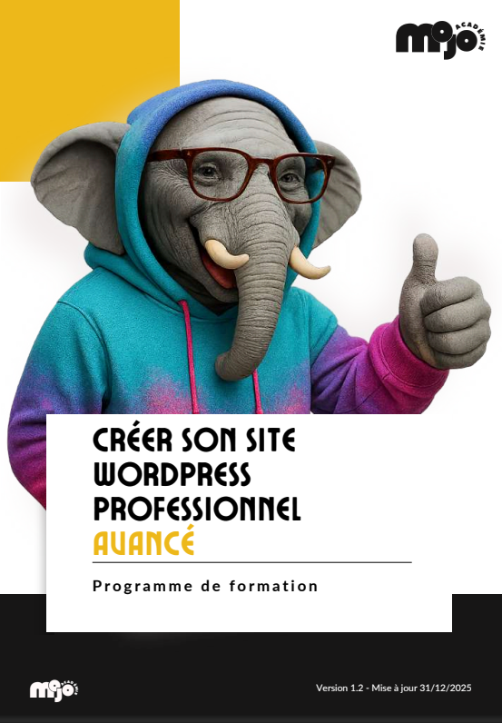 formation awordpress avancé mojo academie