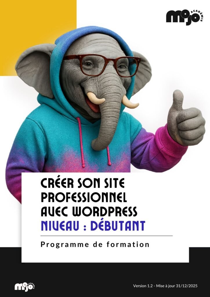 programme de formation création de site web pro via wordpress niveau débutant v2