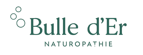 cropped logo bulle der version mini transparent 1